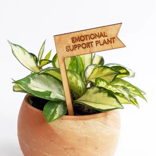 Savvie Studio Emotional Support Plant Stick