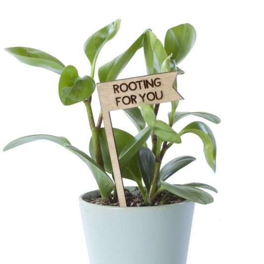 Savvie Studio Rooting For You Plant Stick