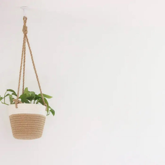 Sprout and About: Tan & White Soft Hanging Planter